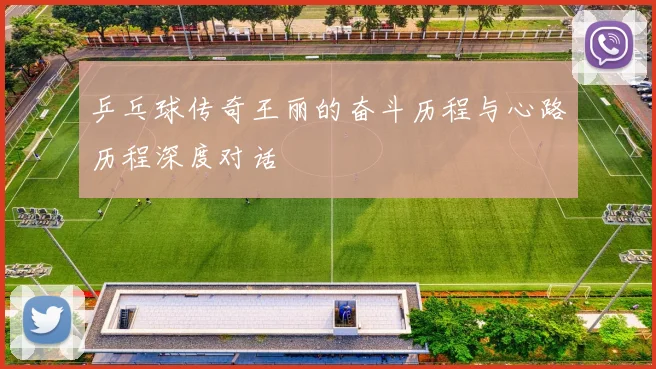 乒乓球传奇王丽的奋斗历程与心路历程深度对话