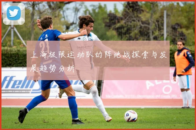 上海极限运动队的阵地战探索与发展趋势分析